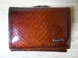 Женский кожаный кошелек Dr.Koffer (глянц, змея), фото №2