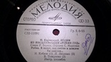 М. Карминский (Песни Из Инсценировки Робин Гуд) 1979. (LP). 7. Vinyl. Пластинка., фото №6