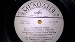 М. Карминский (Песни Из Инсценировки Робин Гуд) 1979. (LP). 7. Vinyl. Пластинка., фото №7