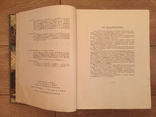 Кулинария Госторгиздат 1955 год 959 стр., фото №7