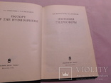 Изотопия гидросферы. Москва 1983, фото №4