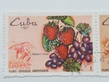 Набір з 4 марок Куба, фото №3