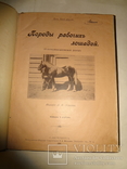 1900 Альбом Лошадей князя Урусова 31 на 23 см., фото №4
