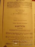 Кактусы 1986г, фото №5