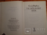 The brer rabbit book 1988г, фото №4