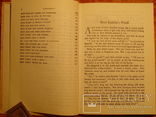 The brer rabbit book 1988г, фото №6