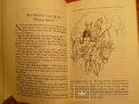 The brer rabbit book 1988г, фото №9