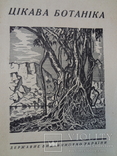 1929 Цікава Ботаніка України, фото №2