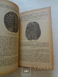 1919 Людина у Другому Році Відбування Української Держави, фото №5