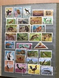 Альбом марок животные 809 шт, фото 2