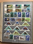 Альбом марок животные 809 шт, фото 6