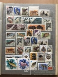 Альбом марок животные 809 шт, фото 7