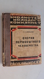 Никольский. Очерки первобытного человечества. 1926 д136, фото №2