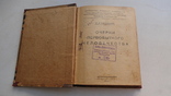 Никольский. Очерки первобытного человечества. 1926 д136, фото №4