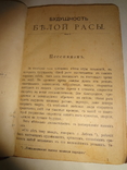 1900 Будущее Белой Расы и захват рынка китайцами, фото 2