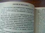 Урожайные грядки 1992р., фото №5