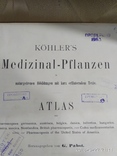 Старый немецки атлас растений 1887г.в., фото №9