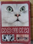 Набор открыток Кошки, фото №2