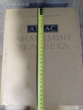 Атлас анатомии человека 2 тома 1979г.в., фото №4