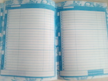 Дневник  на скобе, обложка мягкая 40листов. Украинский язык, фото №3