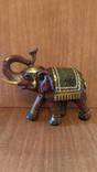 Индийский слон №3, фото №6