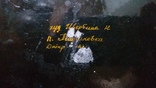 Большая тарелка(диаметр 50см) Петриковской росписи с подписью автора., фото №6
