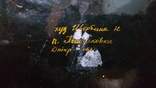 Большая тарелка(диаметр 50см) Петриковской росписи с подписью автора., фото №7
