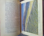 "Die Ätherischen öle"("Эфирные масла"). 1 и 2 том. 1928-1929г. Германия, фото №11