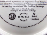 Комплект тарілок "Герої над домівкою" (10 шт.), Royal Doulton, фото №11