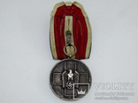 Медаль За заботу о Немецком Народе 3-й рейх 1939 год, фото №2