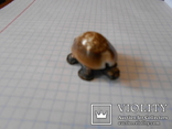 Черепашка (панцирь-ракушка каури),миниатюра., фото №4