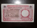 Нигерия 1 фунт 1967, фото №2