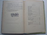 1957 Бєляєв Людина-амфібія Роман, фото №9