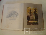 1904 Подарочная книга по юриспруденции А.Ф. Кони о Ф.П. Гаазе, фото №6