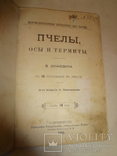 1903 Пчелы Осы и Термиты, фото №2