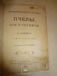 1903 Пчелы Осы и Термиты, фото №4