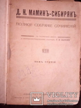 Д.Н.Маминъ-Сибирякъ, фото №3