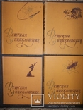 Детская энциклопедия 1959-1960 год.2,3,4,5,6-тома., фото №2