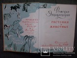 Детская энциклопедия 1959-1960 год.2,3,4,5,6-тома., фото №8