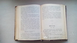 Мережковский Д.С. Наполеон. В двух томах в одном переплете 1929 г., фото №11