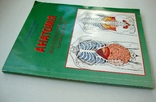 Анатомія внутрішніх органів (спланхологія), фото №3