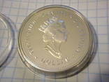 1 доллар серебро Канада 2002 г. Королева - мать., фото №3