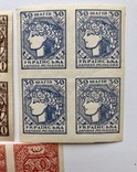 Серия марок УНР, фото 4