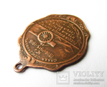 Медаль жетон Слава союзникам Альберт король Бельгии 1914-1915-1916 год., фото №9
