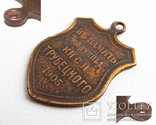 Медаль жетон в память кончины князя Трубецкого 1905 год., фото №3