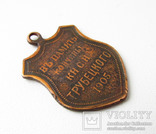 Медаль жетон в память кончины князя Трубецкого 1905 год., photo number 5