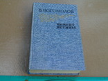 В.Богомолов."Момент истины" 1985г., фото №3