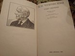 Книга К. Чуковский. Чудо-дерево., фото №4