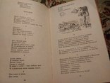 Книга К. Чуковский. Чудо-дерево., фото №7