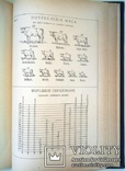 1899  Экономическая оценка народного образования, фото №12